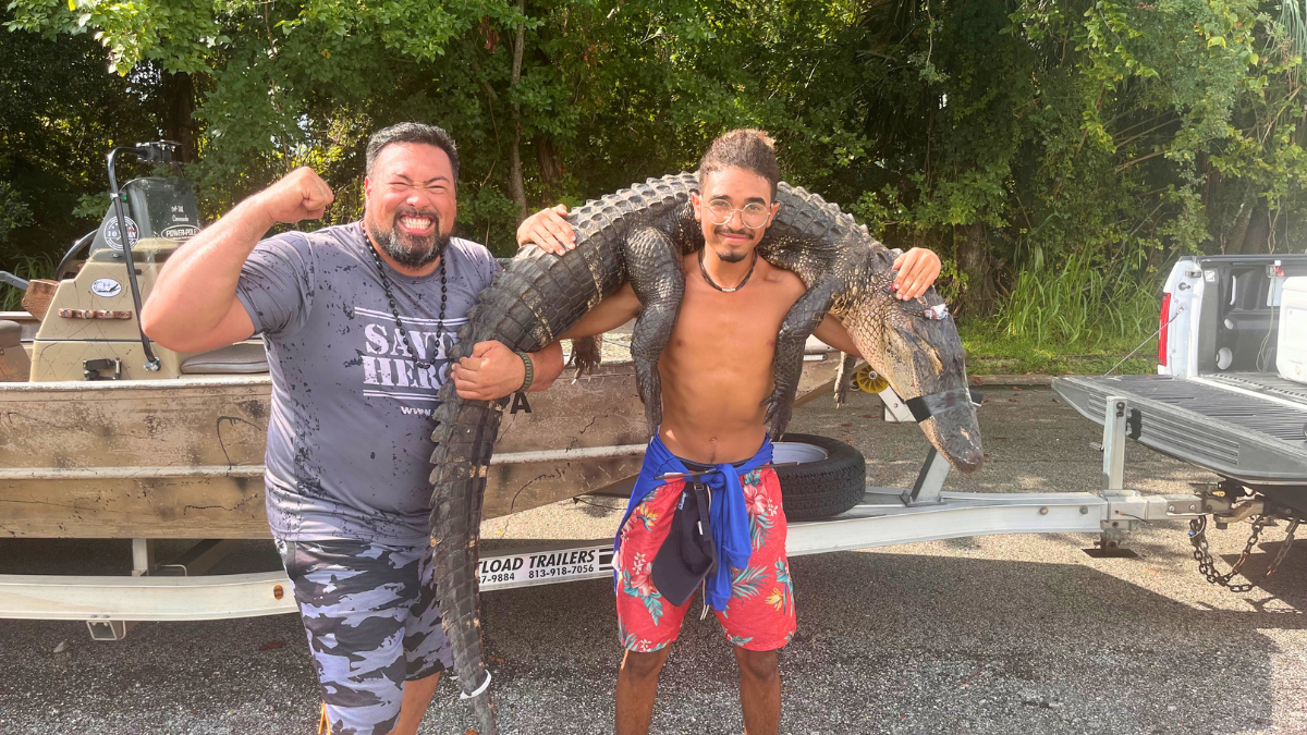 Florida Gator Hunting